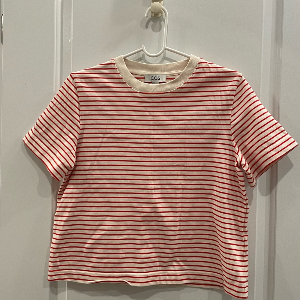 COS/Everlane T-shirt bundle